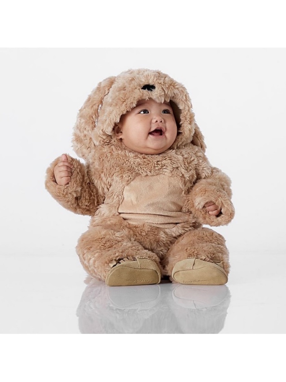 Pottery Barn Kids labradoodle dog Halloween costume size 0-6 months